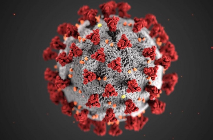 71 Deaths & 163 Hospitalized Post Vaccination - India's Covid Vaccination is Closely Monitored for Adverse Events