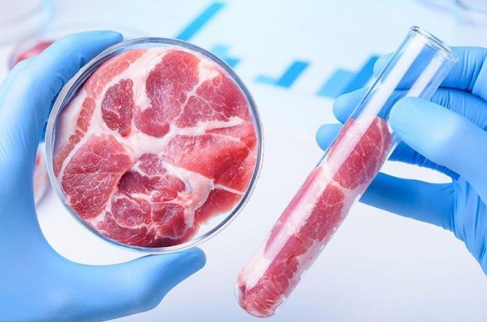 Full Details on Lab Grown Meat - Is it Clean And Green