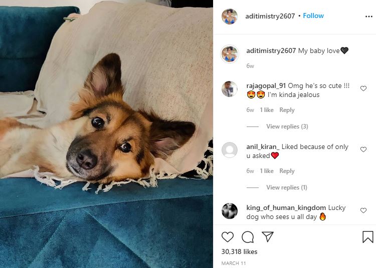 Aditi Mistry's pet dog