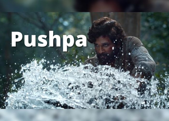Pushpa (2021) Movie