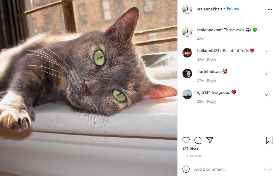 Anna Khait's pet cat
