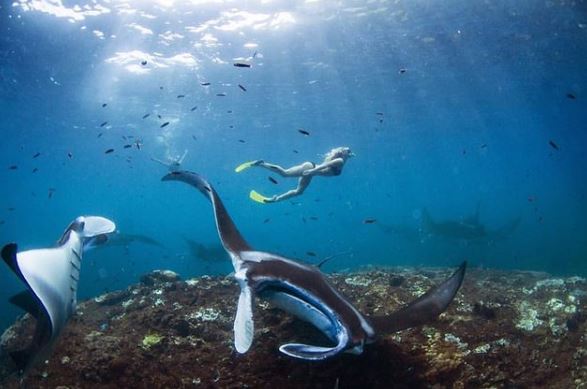 Athena Perample did Scuba Diving