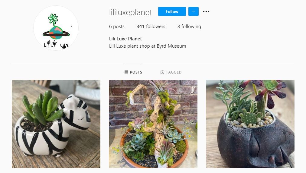 Brittany Byrd is the owner of Lili Luxe Planet