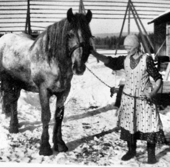 Jonna Jinton great-grandmother