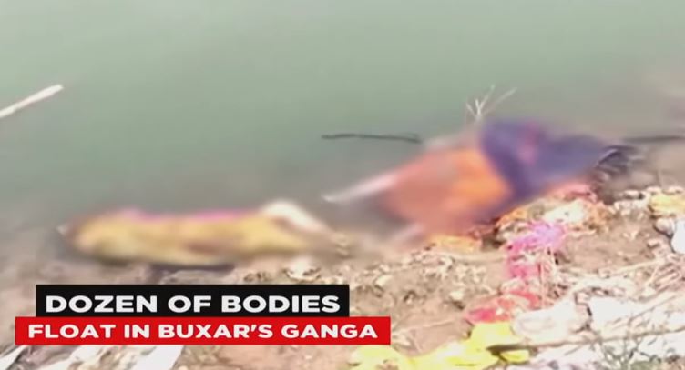 More Than 12 Bodies Spotted Floating In Ganga River