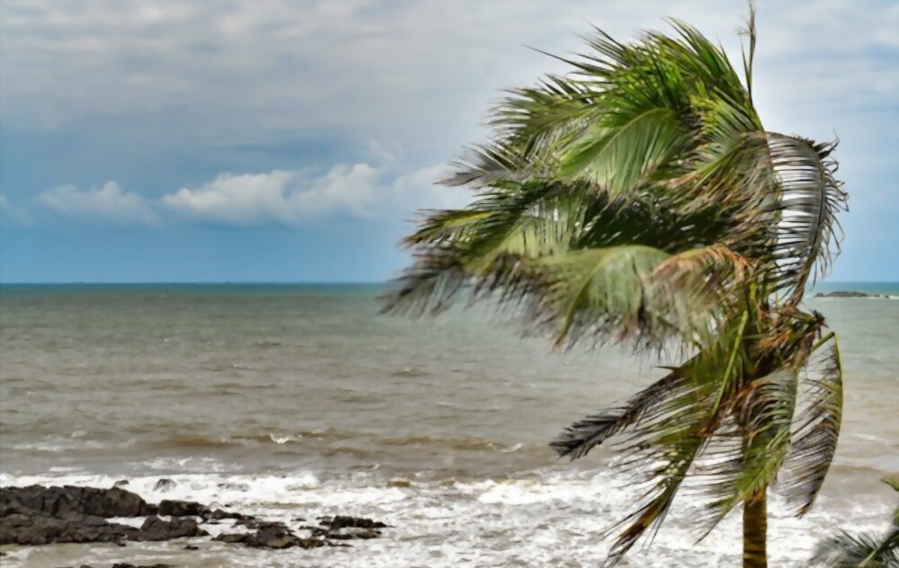 NDRF issued Cyclone Warning in Five States, 24 Teams Deployed