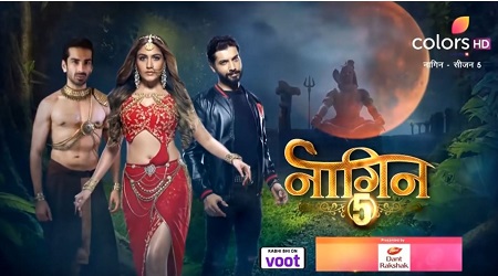 Nikhil Malik worked in Naagin Tv serial