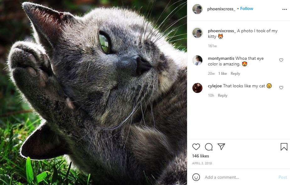 Phoenix Cross first Instagram post