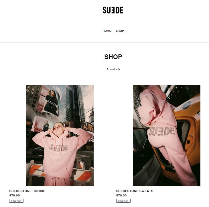 Suede Brooks website