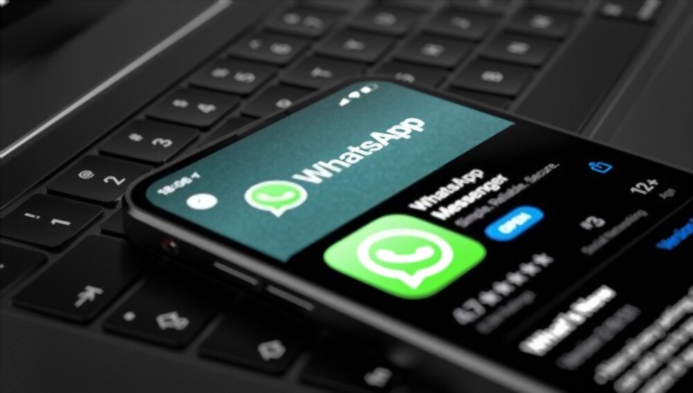 WhatsApp Updated New Privacy Policy, User Can Accept Now Or Accept Later