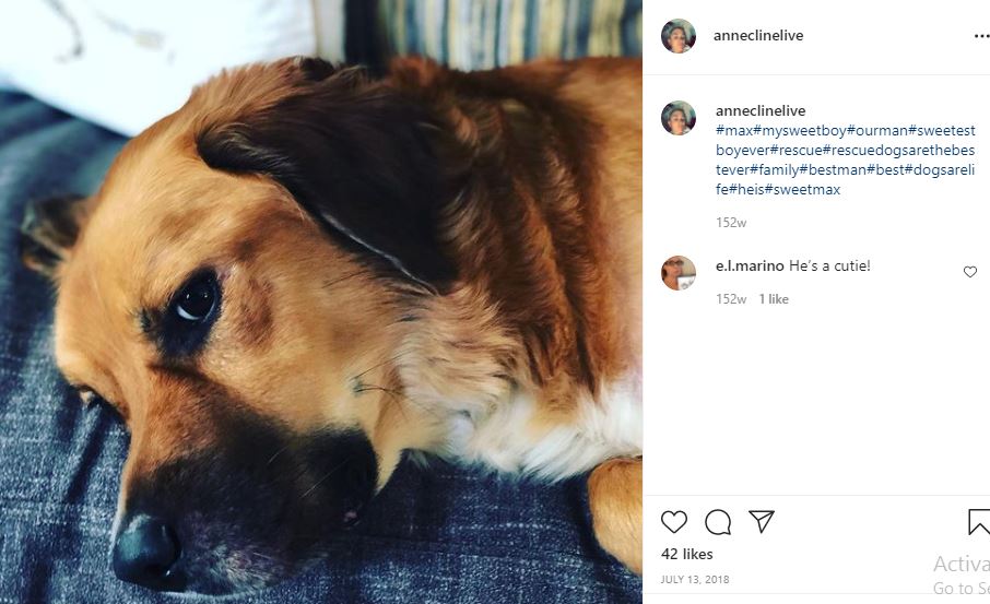 Anne Cline's pet dog Max