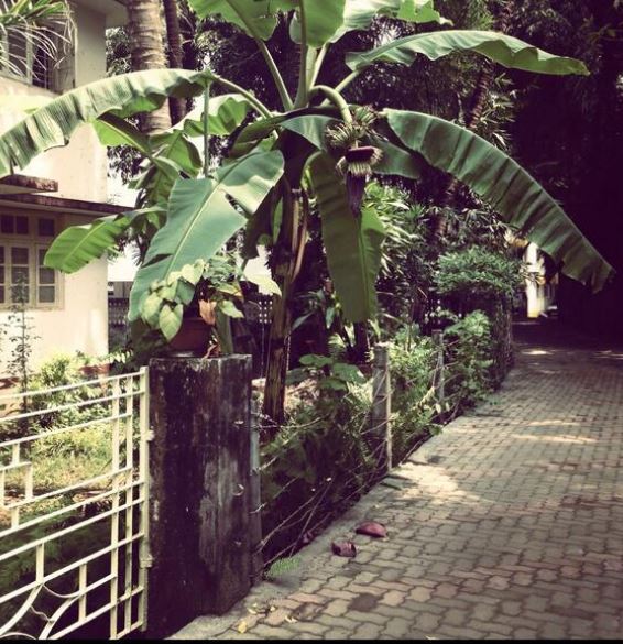 Anya Rangaswami is nature lover