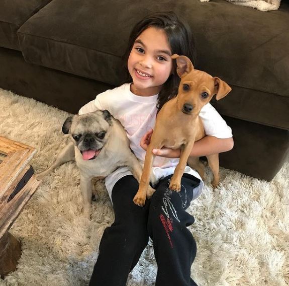 Ariana Greenblatt with her pet dogs