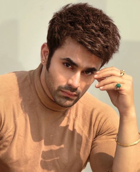 Ekta Sharma's husband Anil Donde filed a complaint against Pearl V Puri