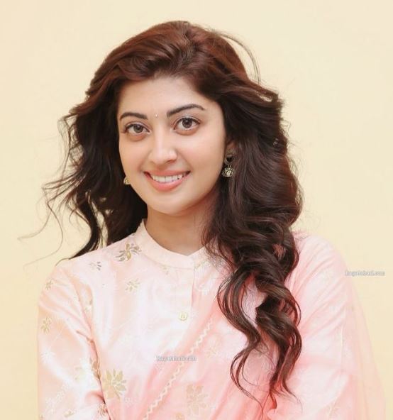Nitin Raju got married to Indian actress Pranitha Subash