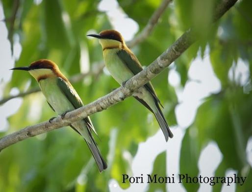 Pori Moni does photography