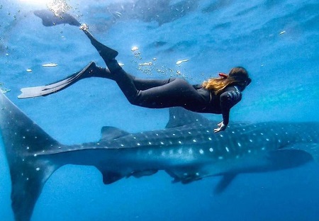 Sofia Bevarly enjoys doing surfing, scuba diving, skating, swimming, and snorkeling
