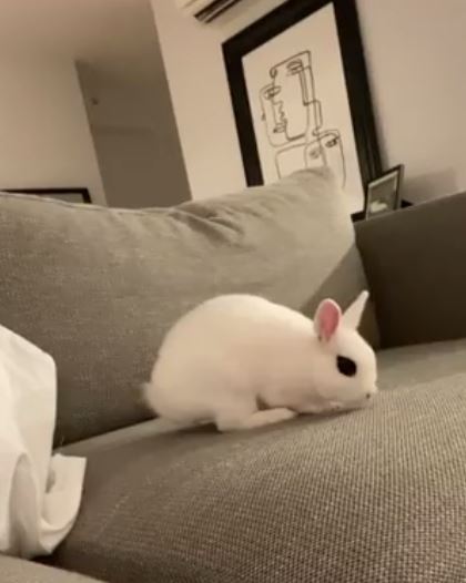 Stella Baker is an animal lover