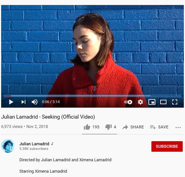 Ximena Lamadrid starred in her Brother Julian's music video