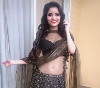 Gehana Vasisth Net Worth