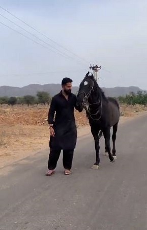 John Kokken loves horses