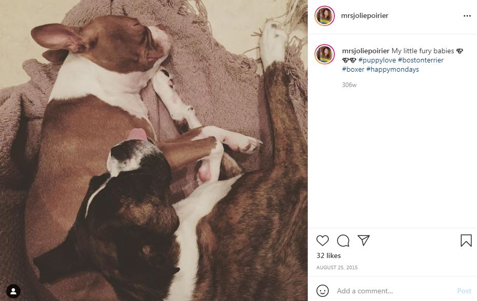 Jolie Poirier's pet dogs