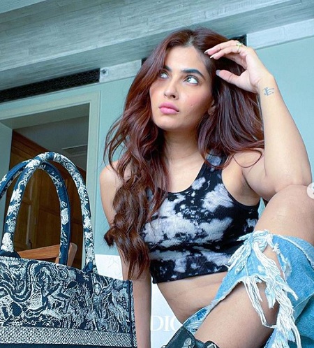 Karishma Sharma Net Worth