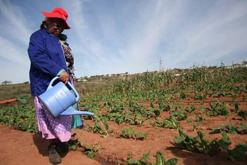 Makhumalo Zuma loves farming