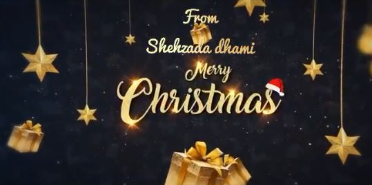 Shehzada Dhami celebrates Christmas