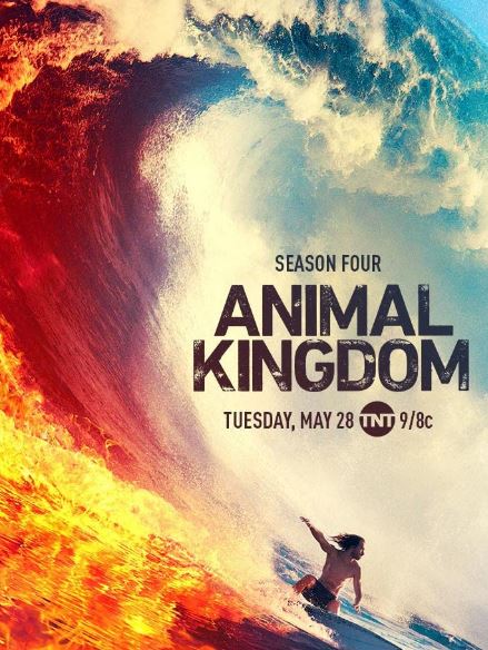 Ben Robson played the role of Craig Cody in Animal Kingdom