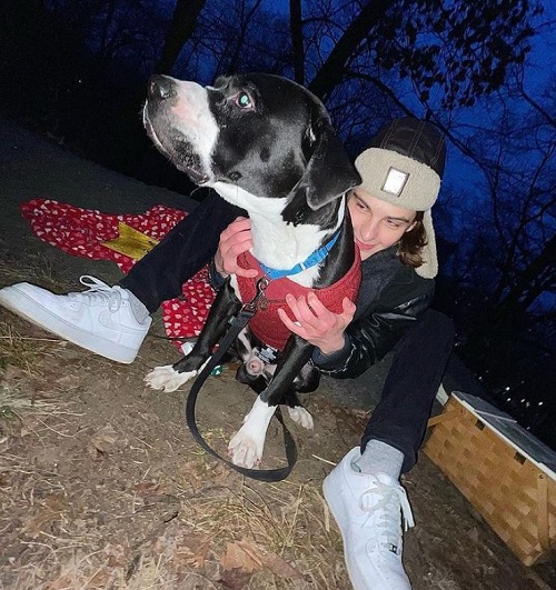 Corey Fogelmanis owns three pet dogs