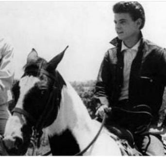 Don Everly is an animal lover