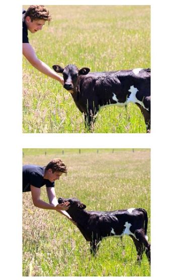 Harry Jowsey is an animal lover