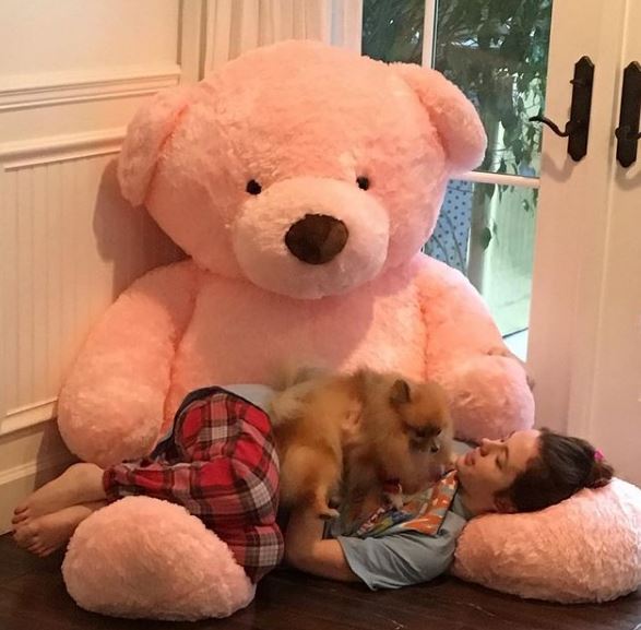 Lily Mo Sheen loves soft toys
