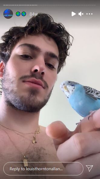 Louis loves birds