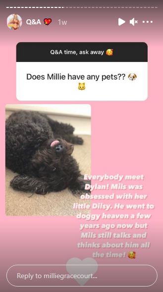 Millie Court's pet dog Dylan