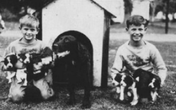 Phil Everly was an animal lover