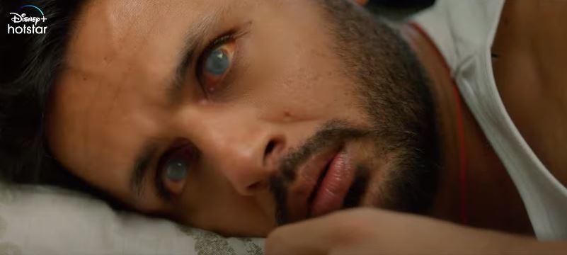 The lead role in the film is played by Nithiin