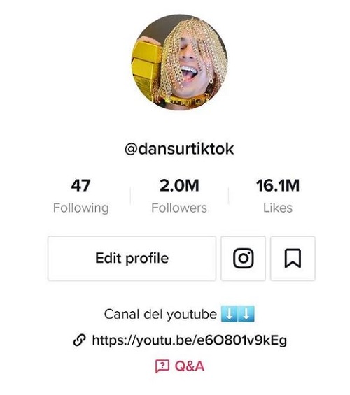 Dan Sur has more than 2 million followers on his TikTok account as of September 2021