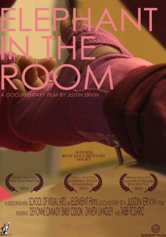 Justin Ervin worked in Elephant in the Room documentary