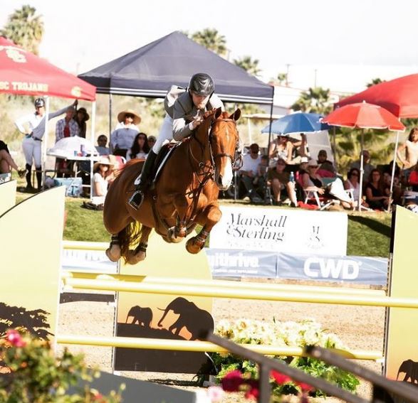 Karl Cook is a professional Equestrian
