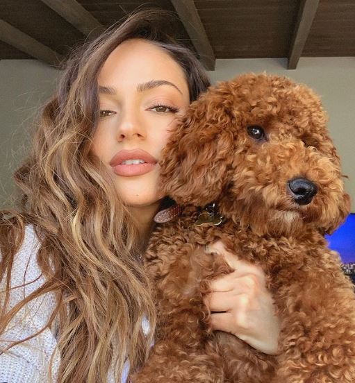 Inanna Sarkis has a pet dog