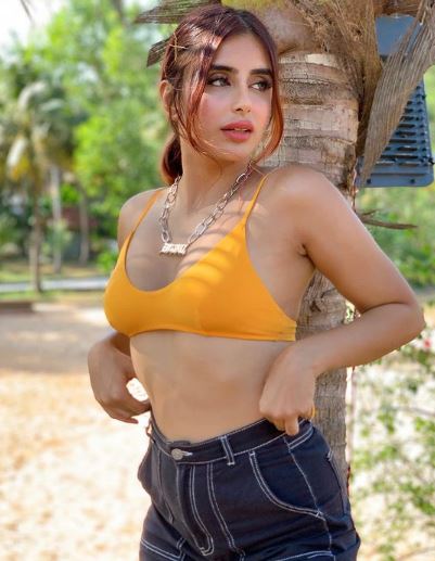 Miesha Iyer career