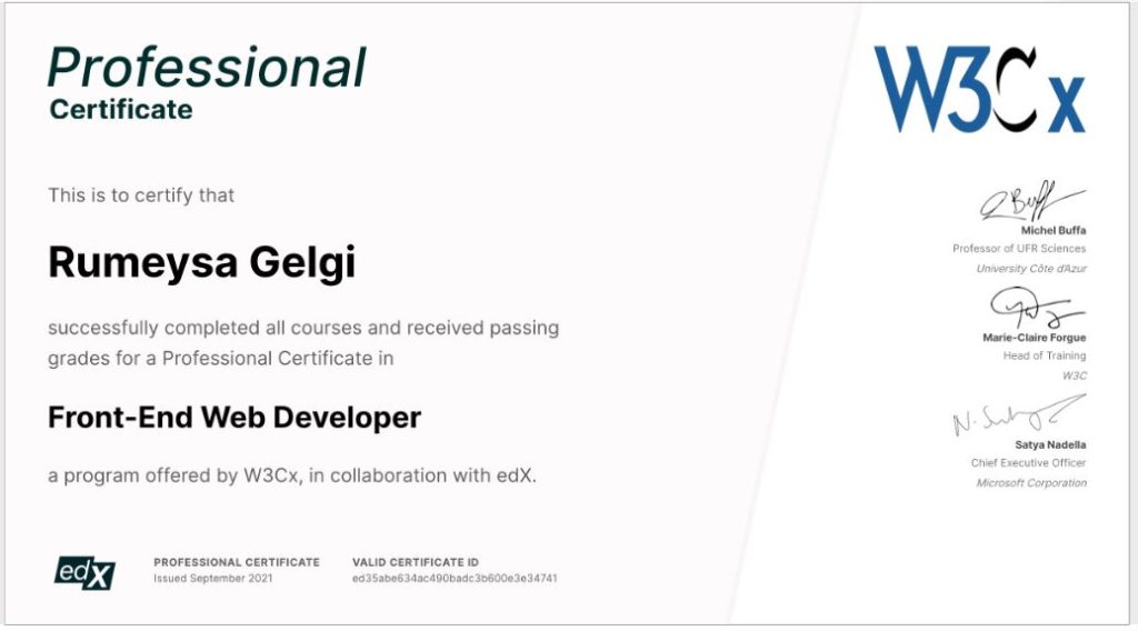 Rumeysa Gelgi certificate