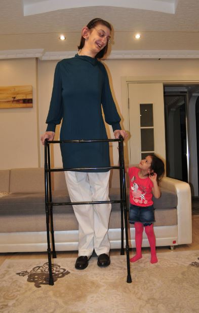 Rumeysa Gelgi height is 7ft 0.7in (215.16cm)