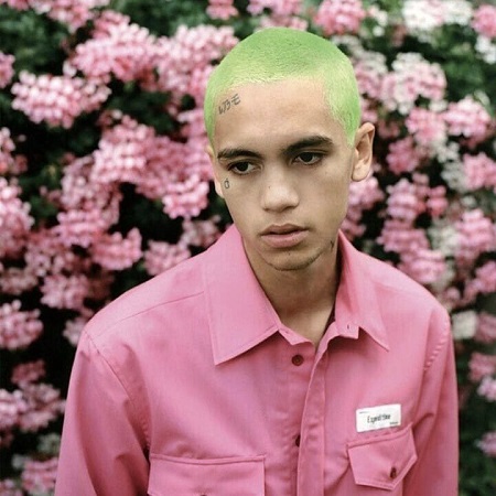 Diana Silvers boyfriend Dominic Fike