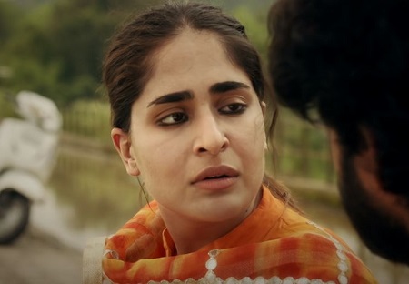 Download Warning Punjabi Movie