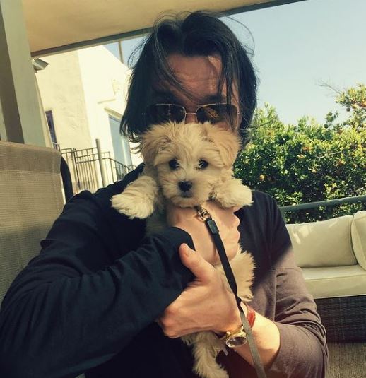 Heath Freeman had a pet dog Ziggy