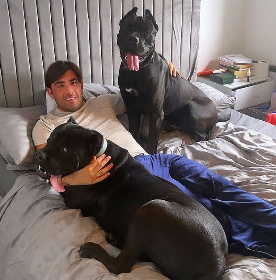 Jack with his pet dogs