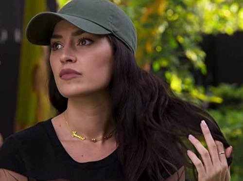 Nicole Williams is best known as a wife of Larry English (American former football player)